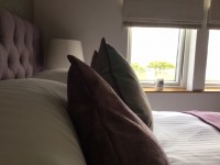 IMG_5039